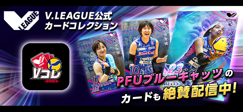 VOLLEYBALL CARD COLLECTION