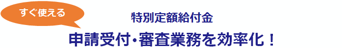 特別定額給付金 申請受付・審査業務を効率化！
