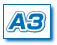 A3