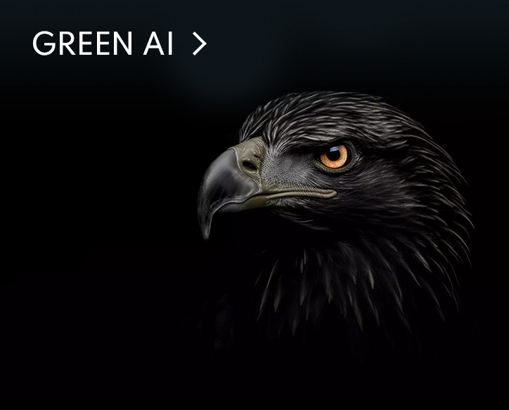 GREEN AI
