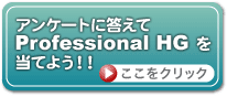 アンケートに答えてProfessional HGを当てよう!!