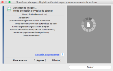 Digitalizando