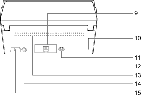 Lado posterior