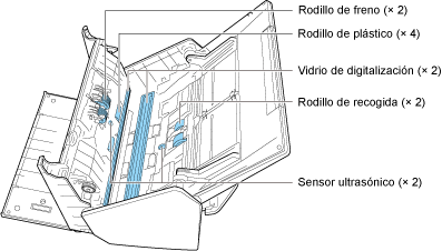 Partes internas a ser limpiadas