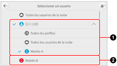 Configuración de usuario