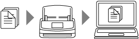 Normal Scan