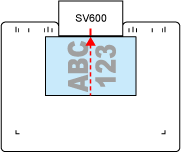 How to Place a Standard Size Document