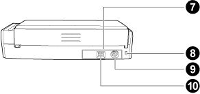 Lado posterior