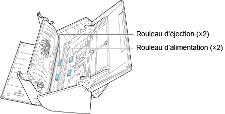 Nettoyage des rouleaux d'alimentation et d'éjection