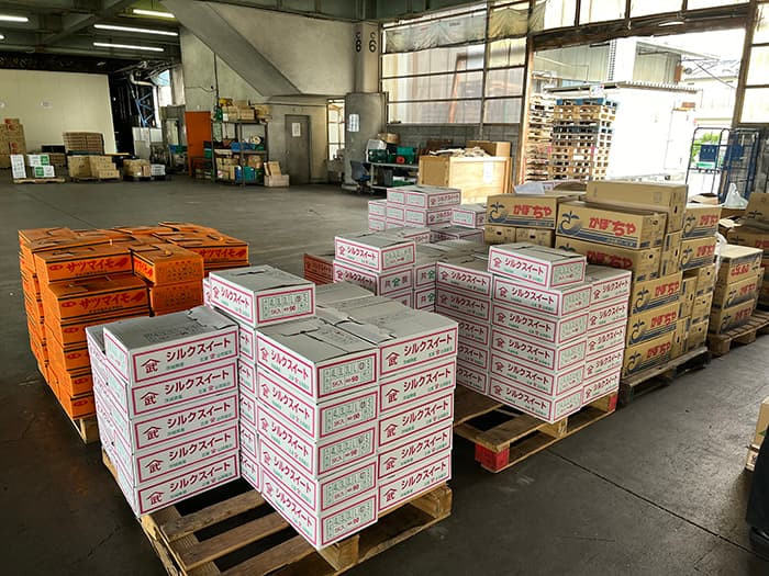 digiup243-10_ScanSnapReport_saichu.jpg