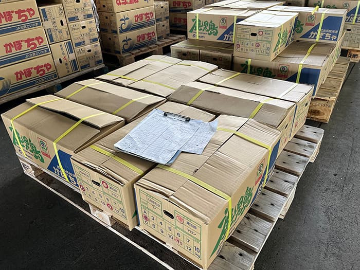 digiup243-12_ScanSnapReport_saichu.jpg