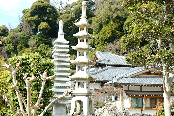 digiup279_12_ScanSnapReport_Ishi_SC.JPG