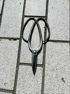 渡辺さんの仕事道具ー剪定ばさみ