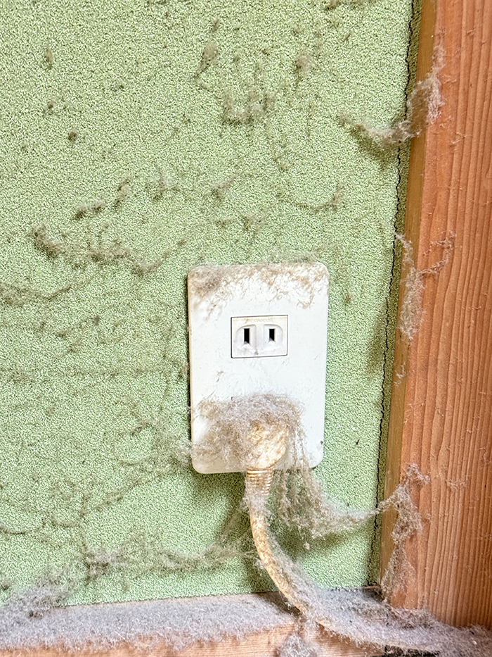 ホコリだらけのコンセント