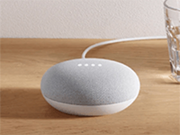 Google / Google Nest Mini™