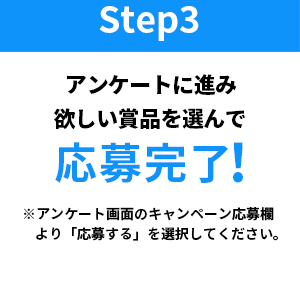 アンケートに進み欲しい賞品を選んで応募完了！