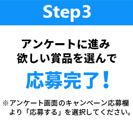 アンケートに進み欲しい賞品を選んで応募完了！