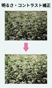明るさ・コントラスト補正