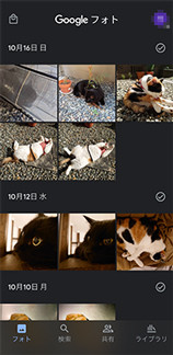 Googleフォトの画面